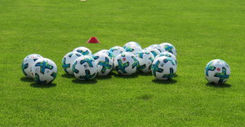 九游下载官网-足球运动员健康管理体系不断完善，科学预防运动损伤，足球运动员的保护措施