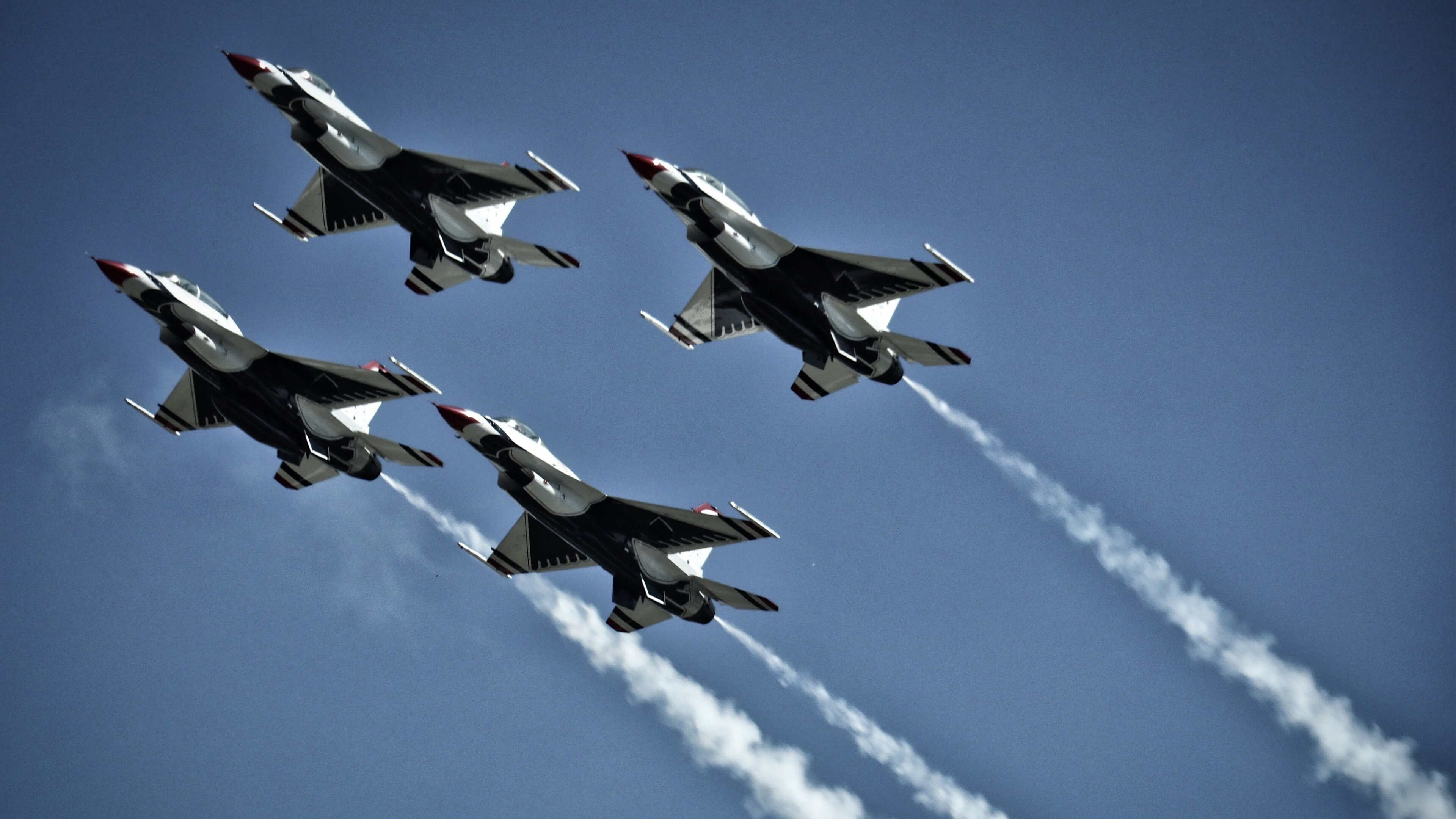 _野生动植物保护跑：运动与环保双赢_，野生动植物保护宣传海报