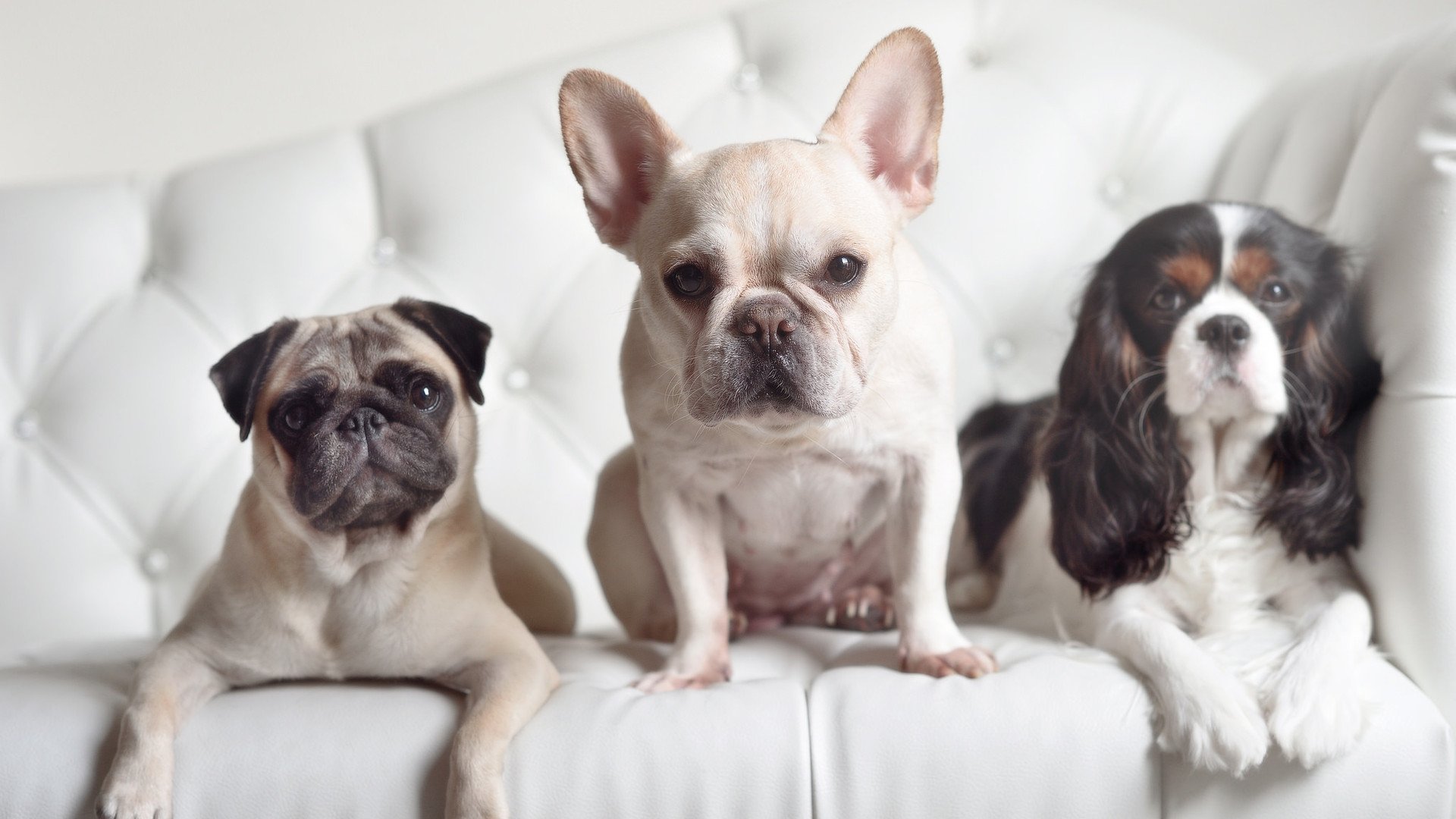 “中国女足在国际赛场不断突破,迈向更高目标”,女足国足