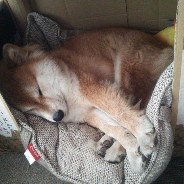 “传感器与图像识别的双重护航——裁判判罚更科学、更公平的技术路径”