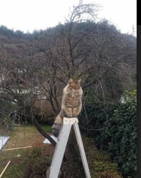 九游APP官网-“德甲最后几轮角逐，冠军成为最热焦点”，德甲结局