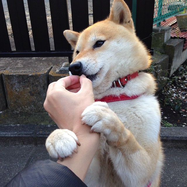 “未来中国足球领军人才选拔赛盛大启动，期待未来新星”，中国未来足球天才