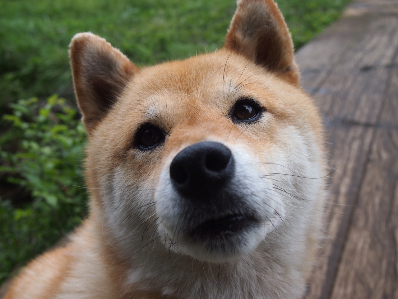 《电竞公益赛：用比赛传递正能量》，电竞 公益