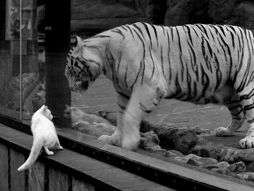 【未来球场概念】超智能化，让比赛更加激烈精彩，智慧球场发展现状