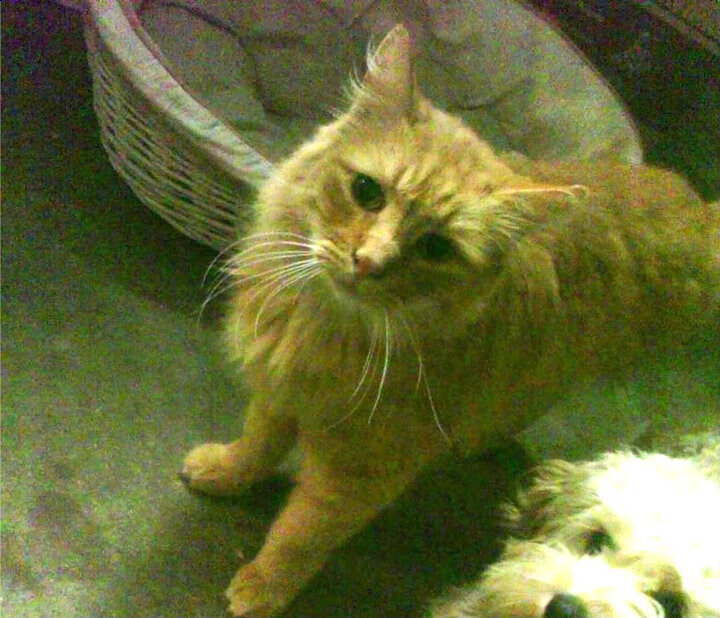 【电子竞技】虚拟台球带来的比赛新体验，虚拟台球4操作方法