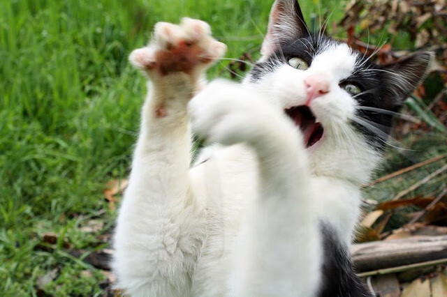 九游(jiuyou)官方网站-一线明星助阵全国篮球公益行，传递篮球精神与社会责任，篮球明星 受欢迎