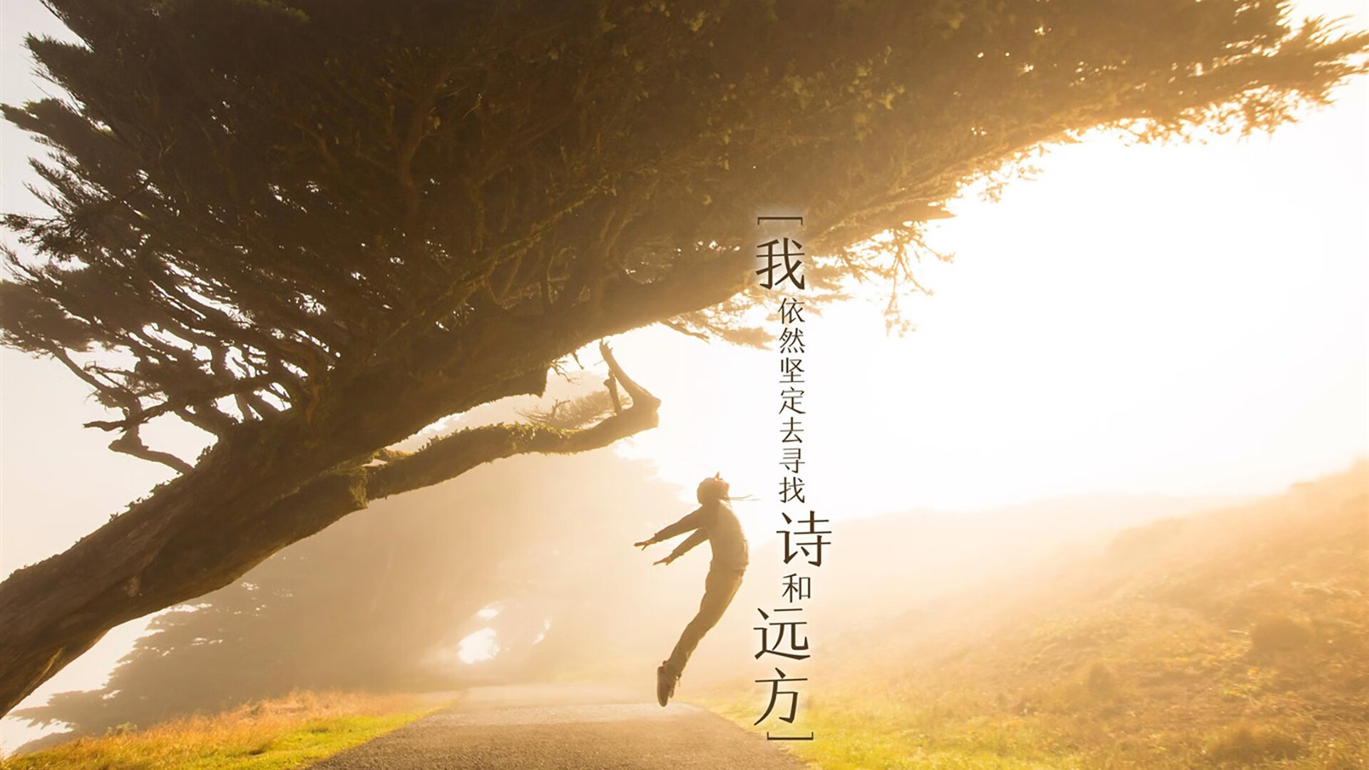 九游娱乐-以战术取胜：联盟中最创新的战略布局，战术上成功了,战略就一定能成功