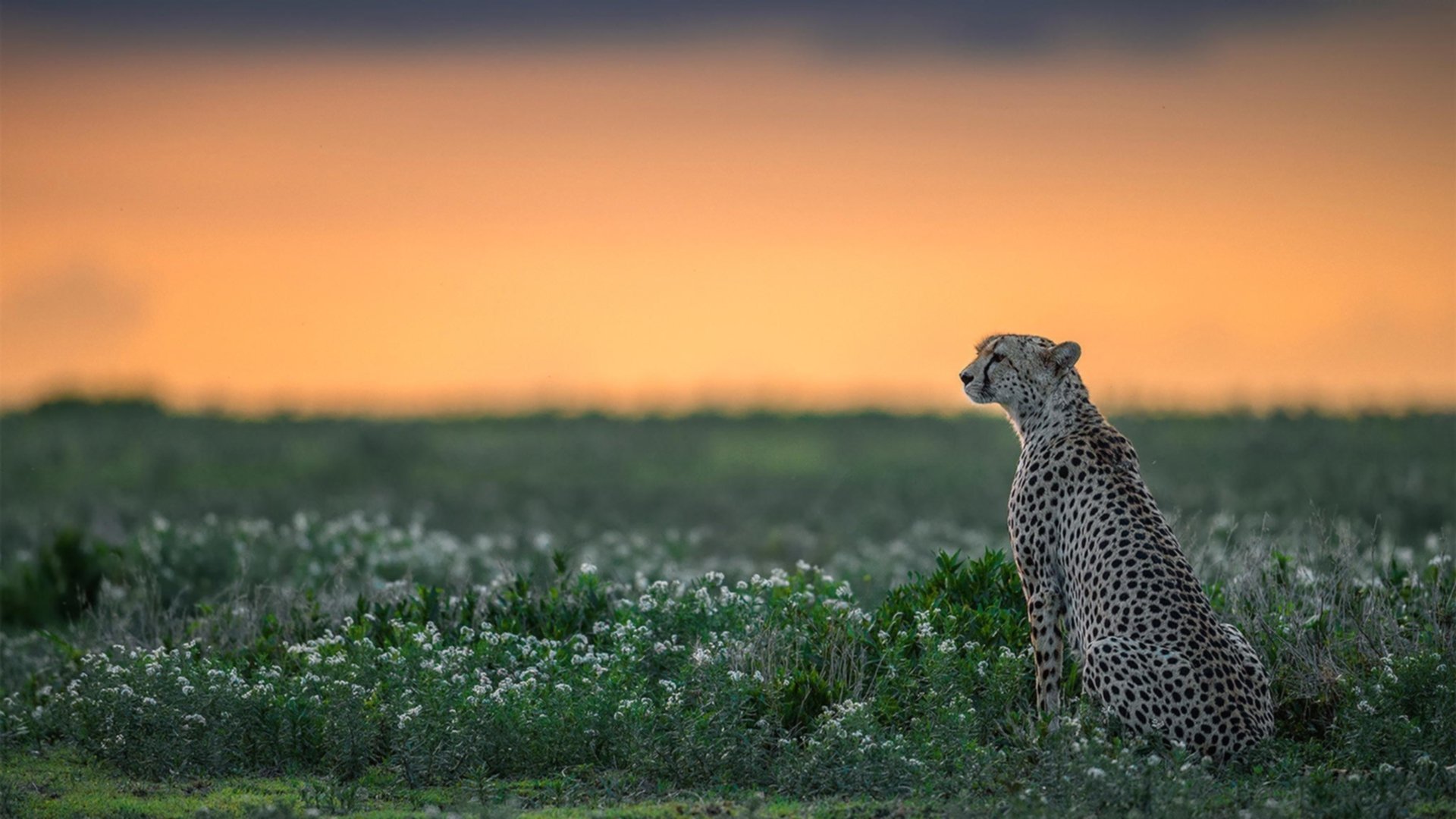 九游(jiuyou)官方网站-全国青年篮球运动员交流会在京举行，推动行业高端发展，中国青年篮球