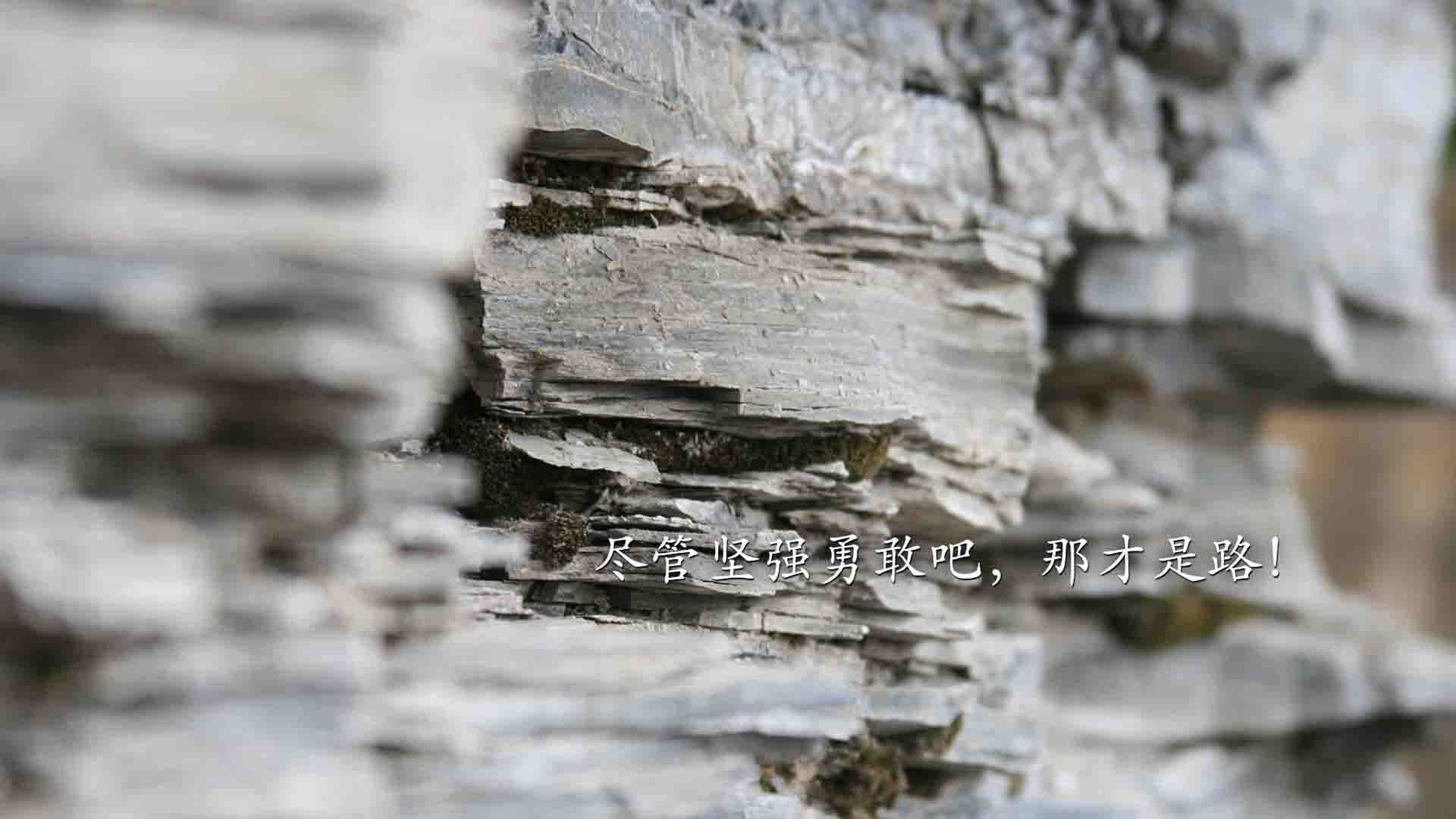 九游网页版官网-公牛赢得关键战！，公牛赢得关键战绩的原因