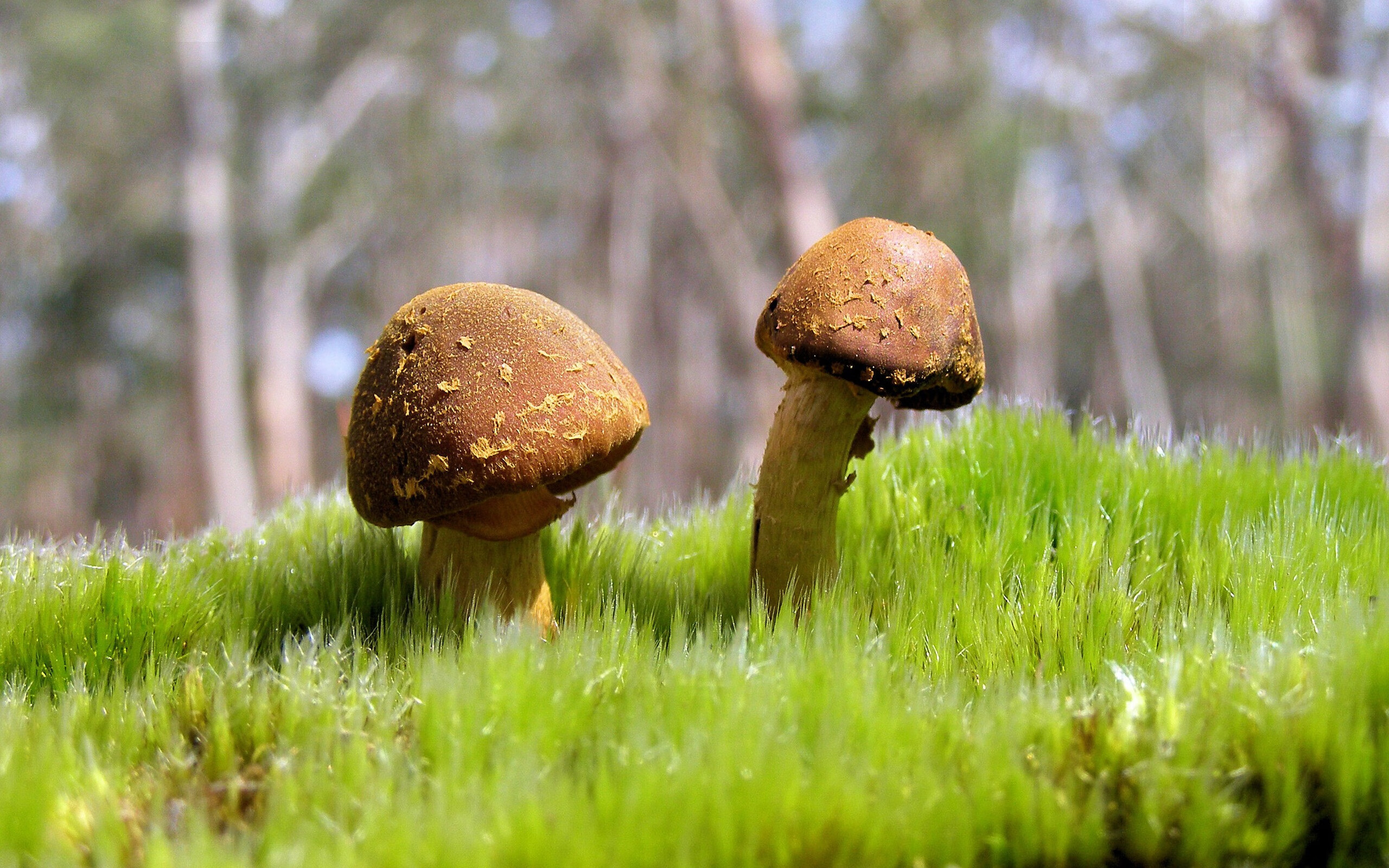 九游sports-公牛队发布怀旧球衣致敬90年代三连冠王朝，公牛队员名单1998