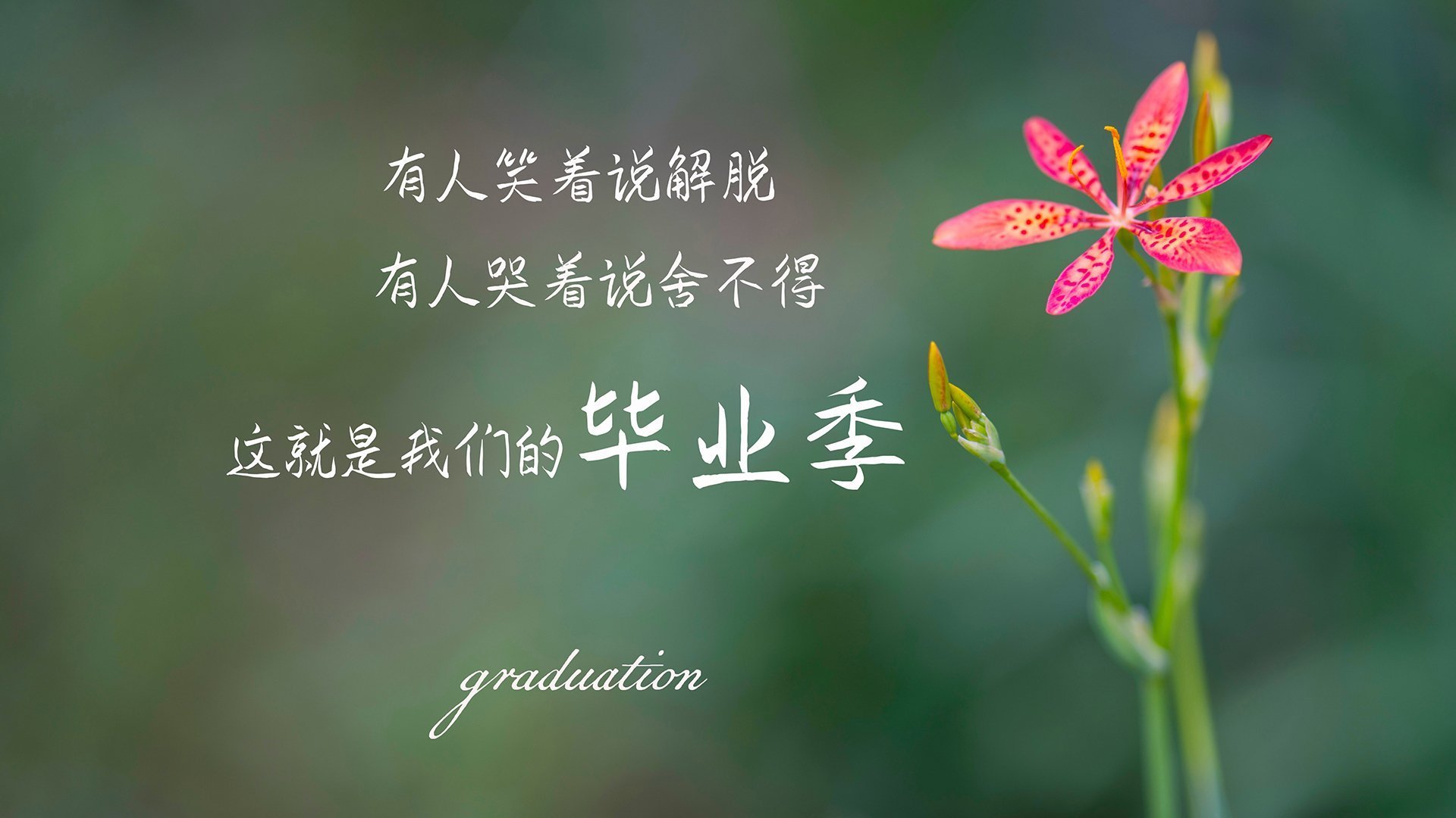 九游网游官网-国内外媒体关注，中超带火全民足球热潮，中超专用足球