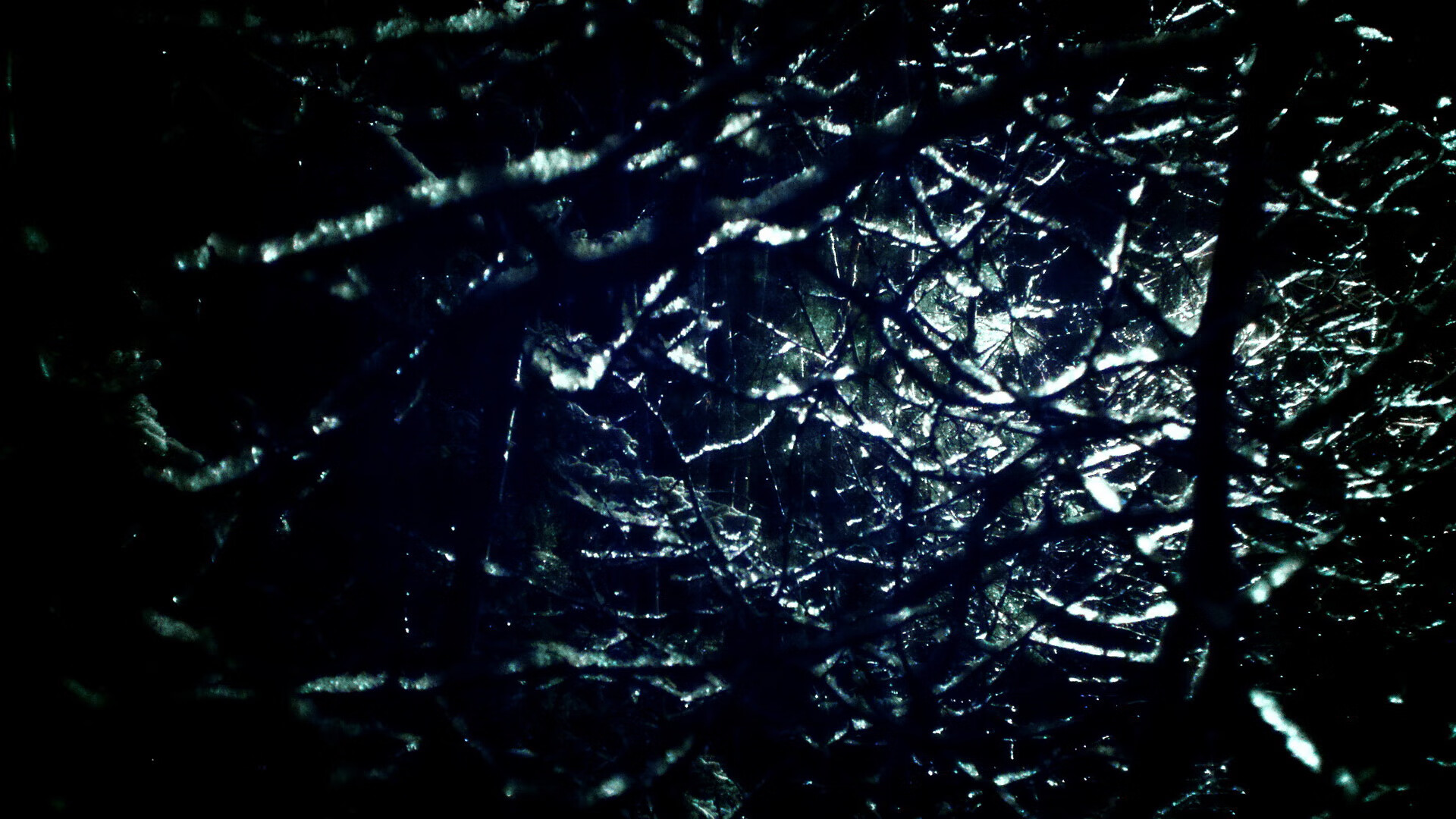 九游下载官网-国际游泳联盟强化反兴奋剂措施，保障比赛公正，国际泳联规定游泳比赛规则